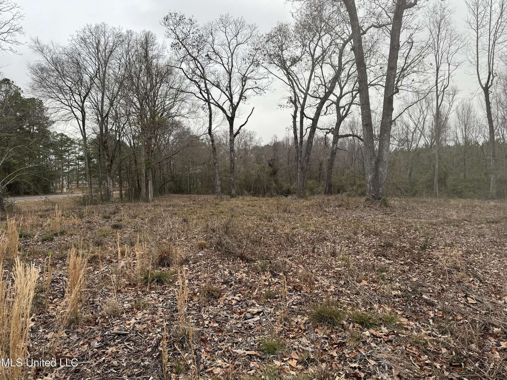 2 Acres of Residential Land for Sale in Mendenhall, Mississippi