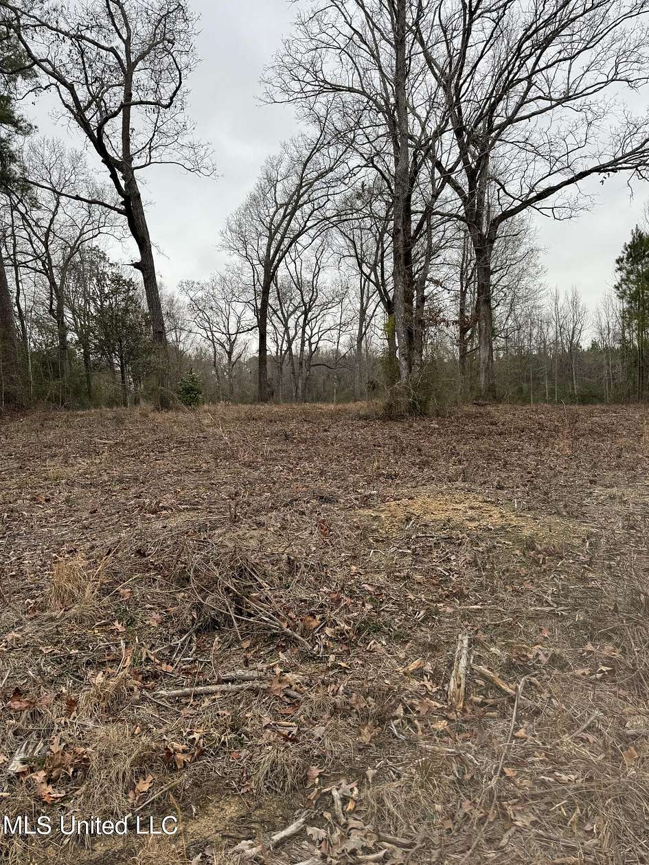 2 Acres of Residential Land for Sale in Mendenhall, Mississippi