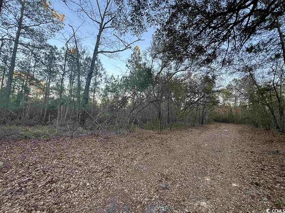 100 Acres of Recreational Land for Sale in Georgetown, South Carolina