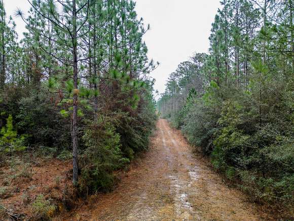40.7 Acres of Recreational Land for Sale in Lumberton, Mississippi