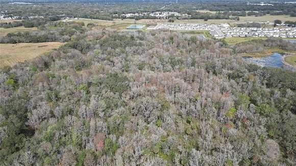 17.5 Acres of Recreational Land for Sale in Zephyrhills, Florida