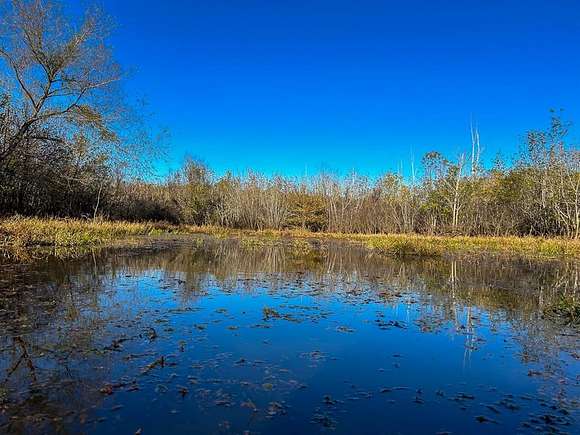 106 Acres of Recreational Land for Sale in Chireno, Texas