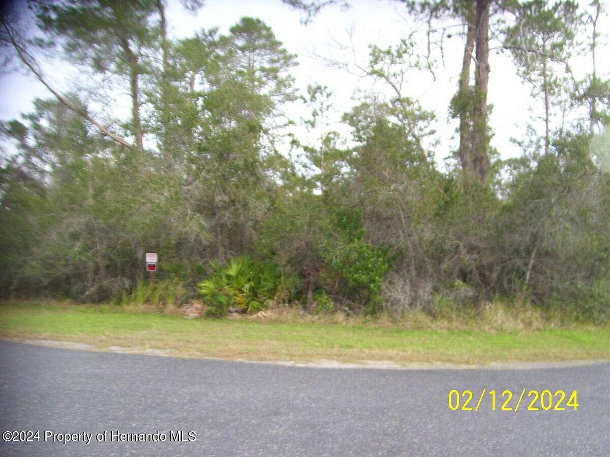 1.2 Acres of Residential Land for Sale in Brooksville, Florida