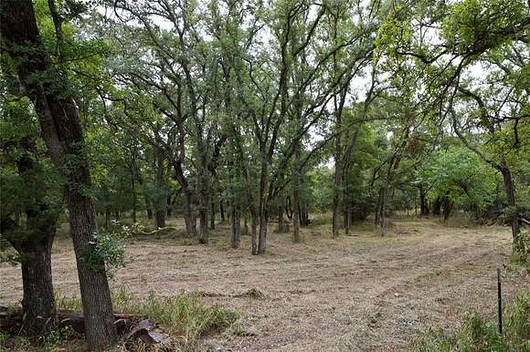 18.9 Acres of Land for Sale in Weatherford, Texas
