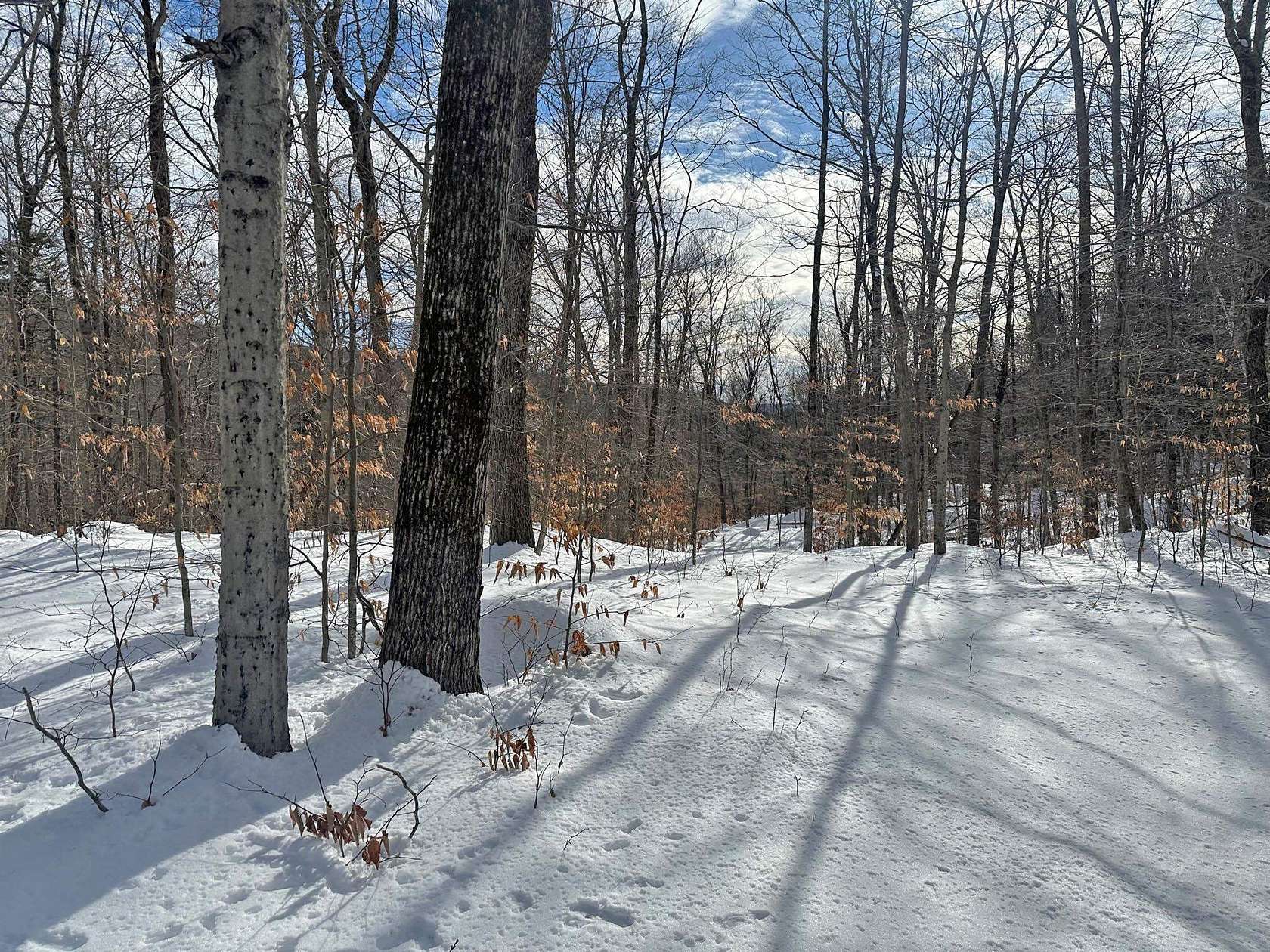 17.7 Acres of Land for Sale in Marlboro, Vermont