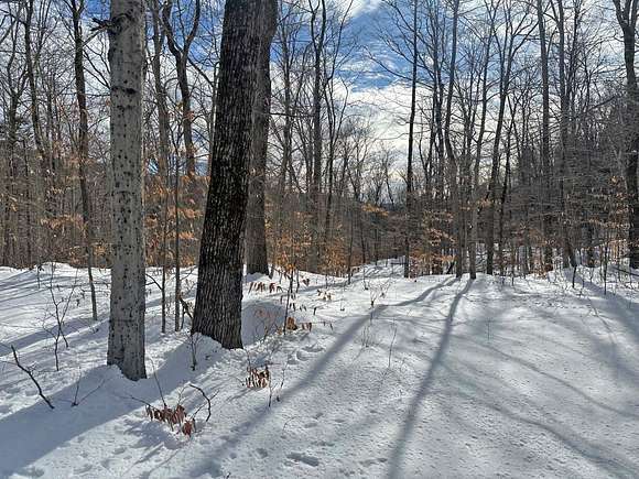 17.73 Acres of Land for Sale in Marlboro, Vermont