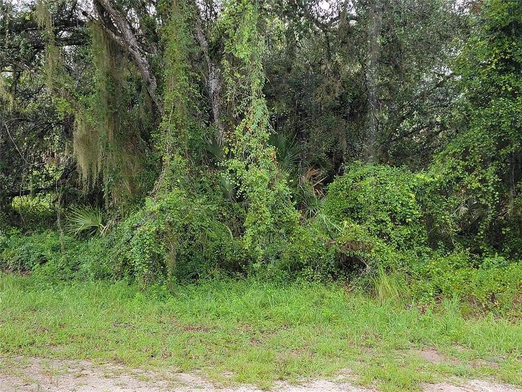 1.25 Acres of Residential Land for Sale in Clewiston, Florida