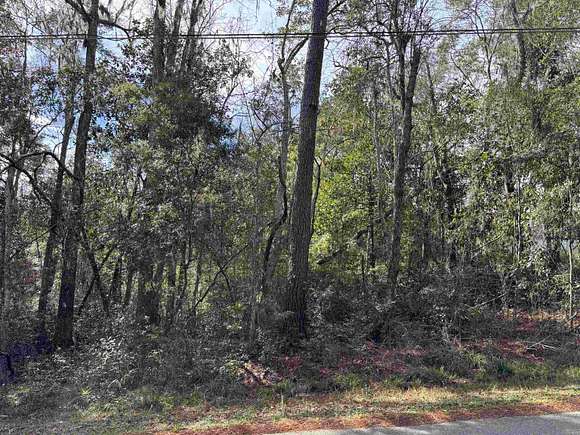 0.49 Acres of Land for Sale in Tallahassee, Florida