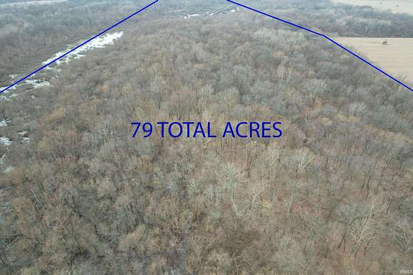 79.1 Acres of Recreational Land & Farm for Sale in Princeton, Indiana