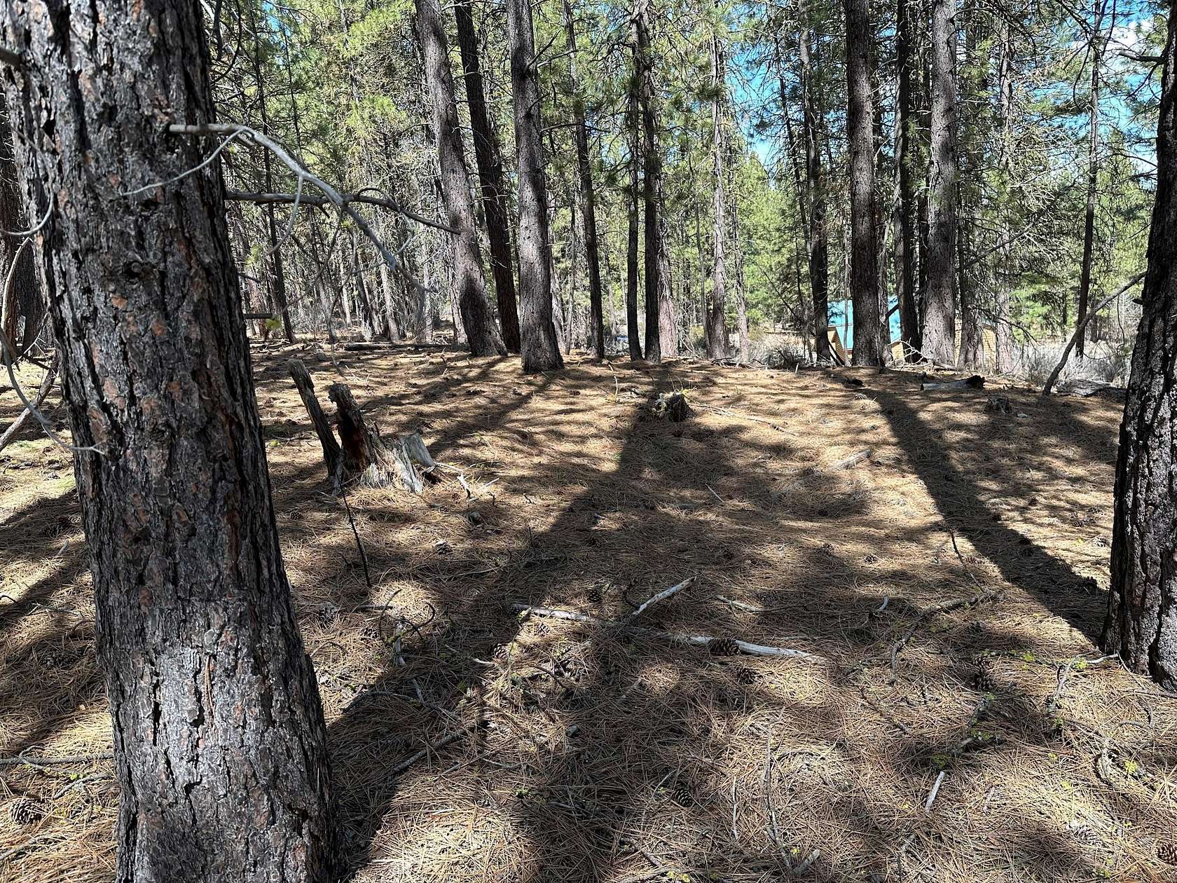 1.2 Acres of Residential Land for Sale in Chiloquin, Oregon