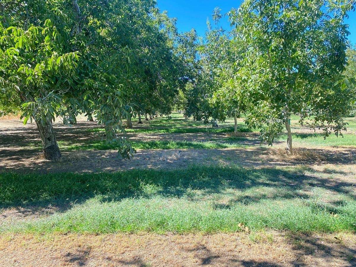 11.6 Acres of Land for Sale in Winters, California