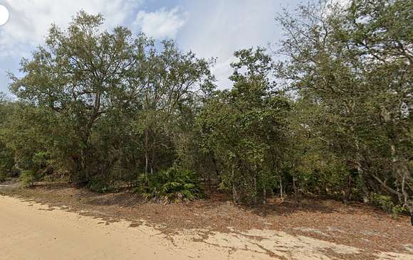 0.39 Acres of Residential Land for Sale in Interlachen, Florida