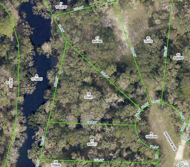 0.46 Acres of Land for Sale in Webster, Florida
