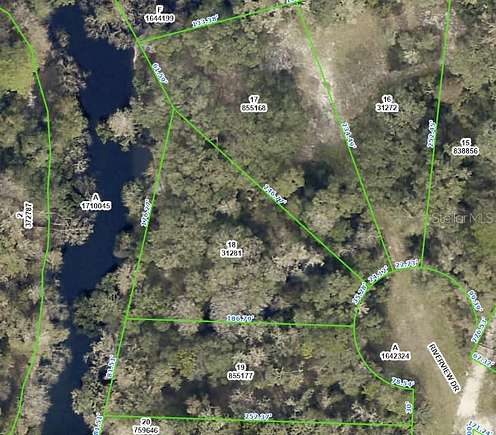 0.46 Acres of Land for Sale in Webster, Florida