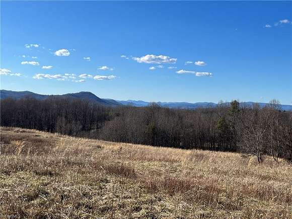 45 Acres of Improved Agricultural Land for Sale in Boomer, North Carolina