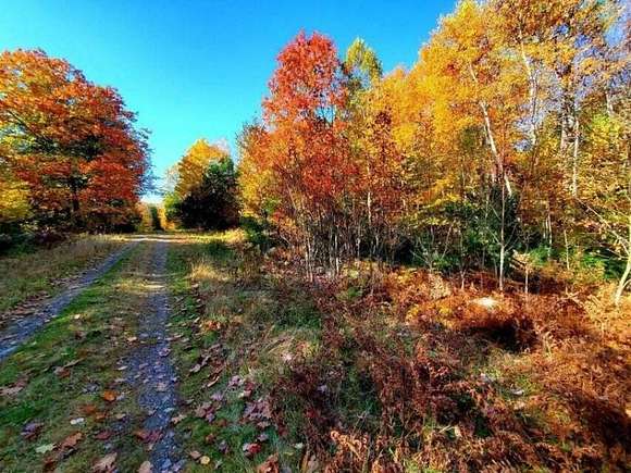 38 Acres of Land for Sale in Princeton, Maine