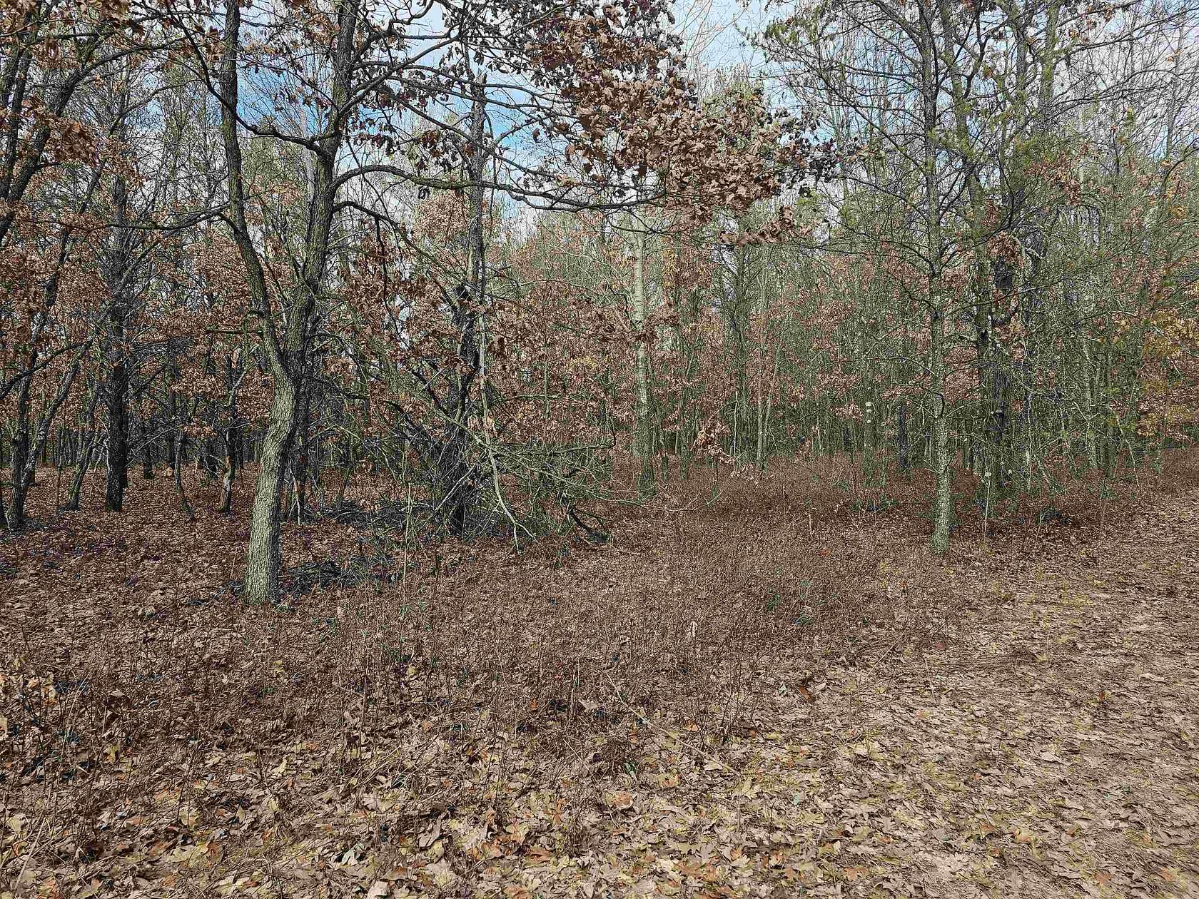 6.2 Acres of Residential Land for Sale in Lyndon Station, Wisconsin