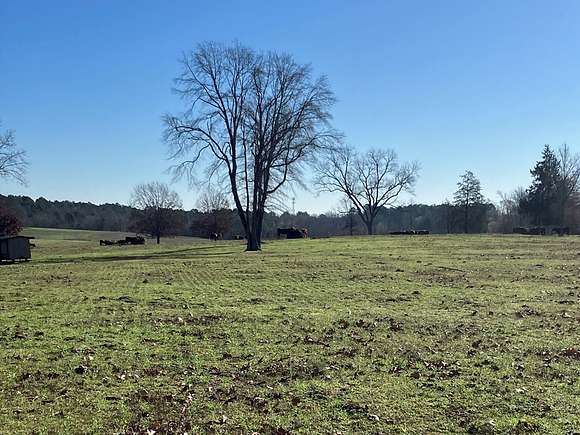 140 Acres of Land for Sale in Winona, Texas