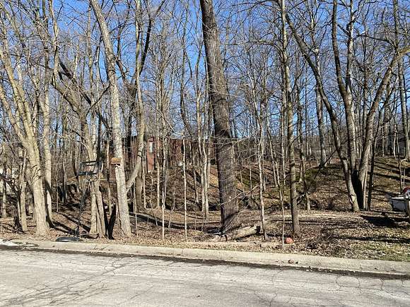 0.36 Acres of Residential Land for Sale in Park Forest, Illinois