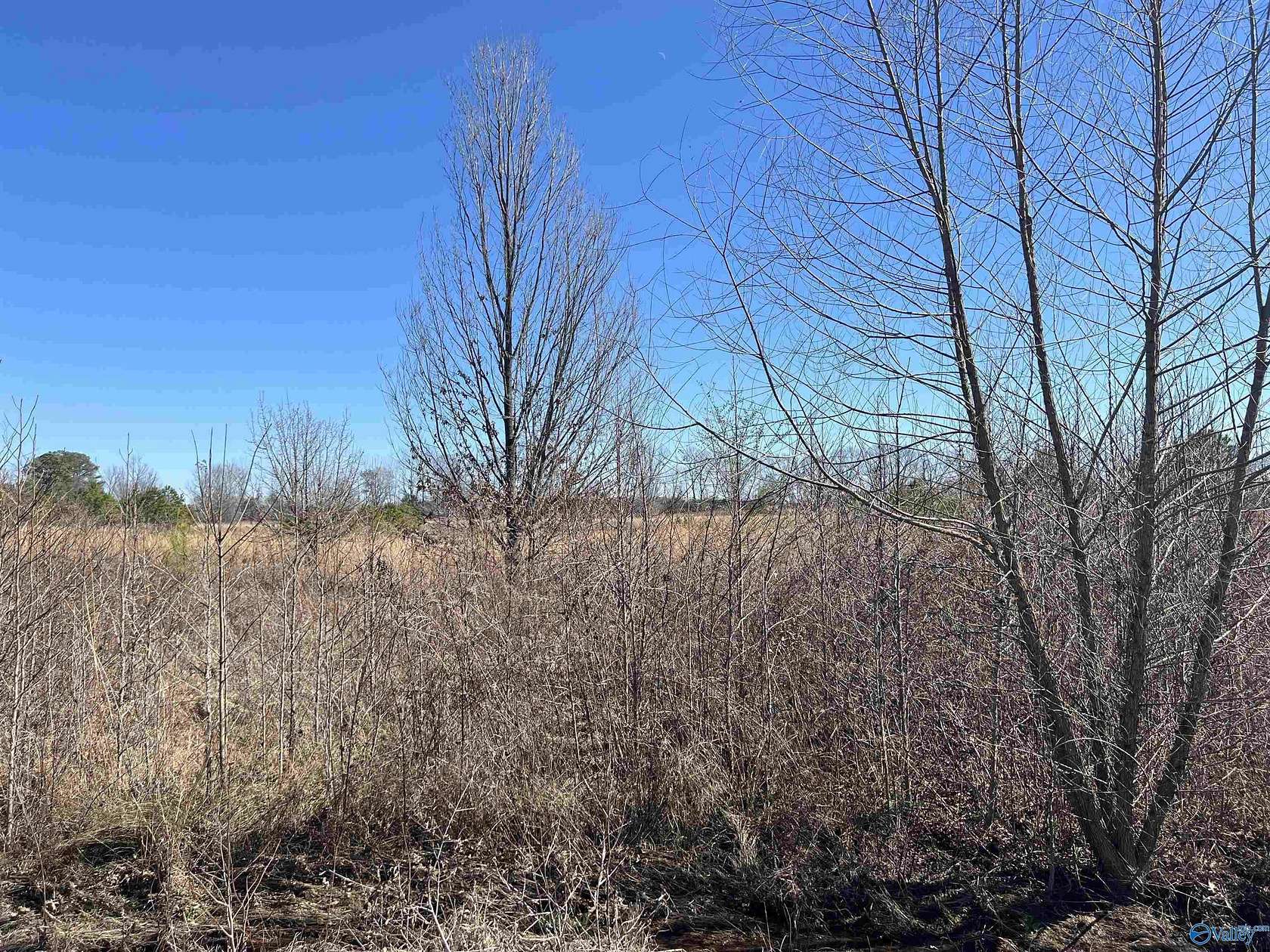 1.2 Acres of Land for Sale in Moulton, Alabama