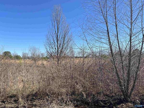 0.7 Acres of Residential Land for Sale in Moulton, Alabama
