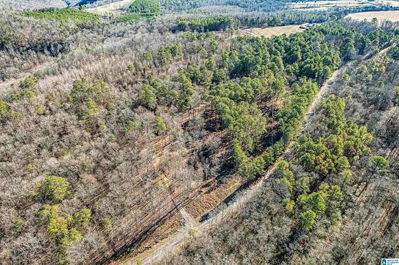 6 Acres of Residential Land for Sale in Grove Oak, Alabama