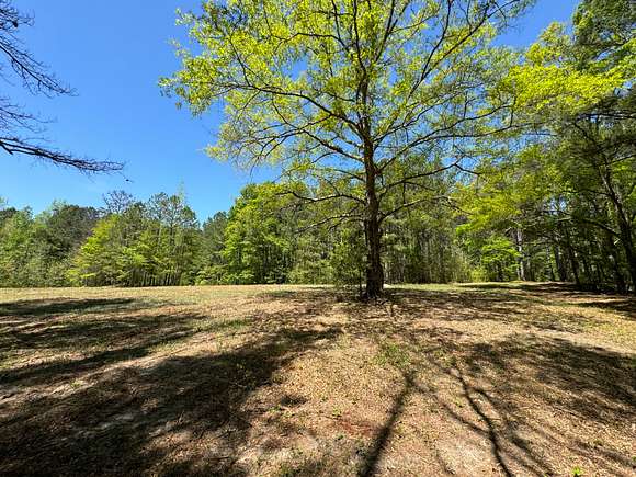 157 Acres of Recreational Land for Sale in Waverly, Alabama