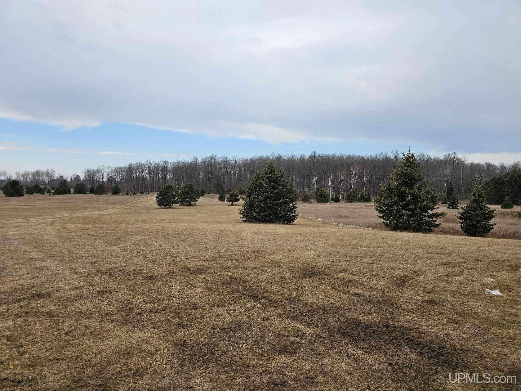 70 Acres of Land for Sale in Channing, Michigan