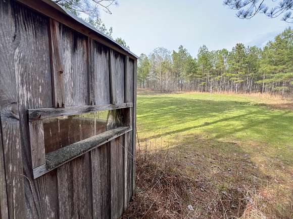 44 Acres of Recreational Land & Farm for Sale in Goodwater, Alabama