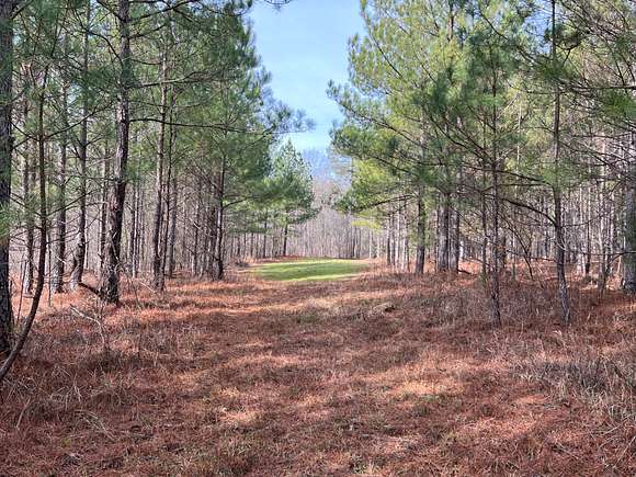 132 Acres of Recreational Land & Farm for Sale in Goodwater, Alabama