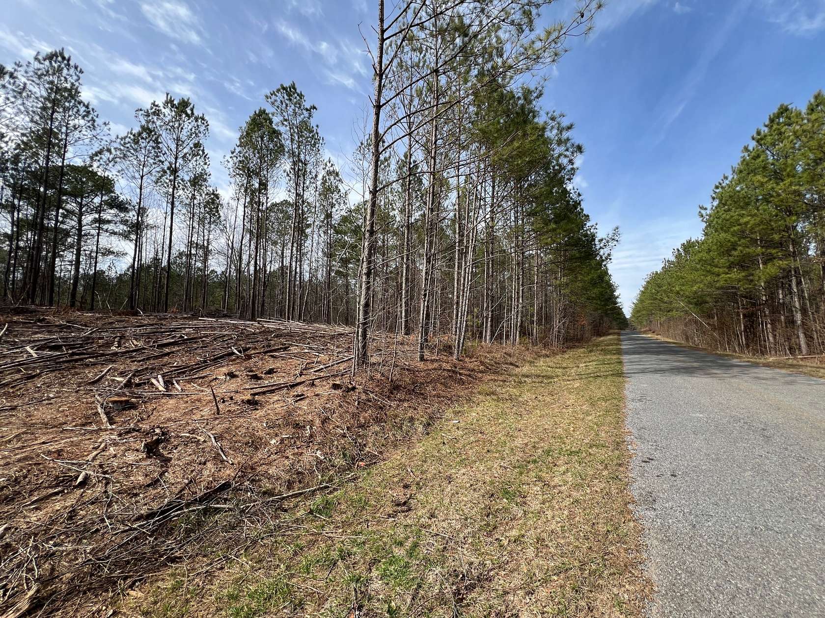 3 Acres of Recreational Land & Farm for Sale in Rockford, Alabama