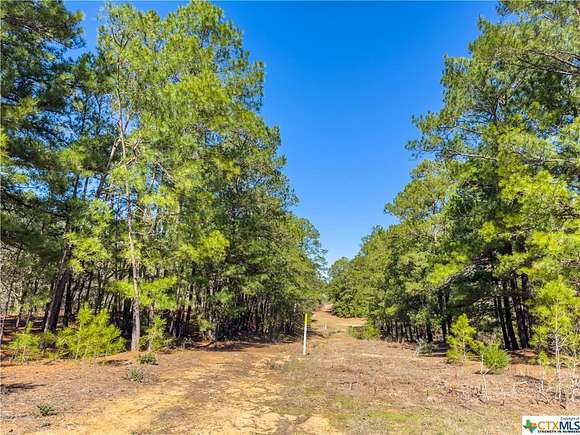 105 Acres of Recreational Land for Sale in Rosanky, Texas