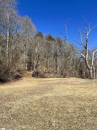 20.8 Acres of Recreational Land for Sale in Cleveland, South Carolina