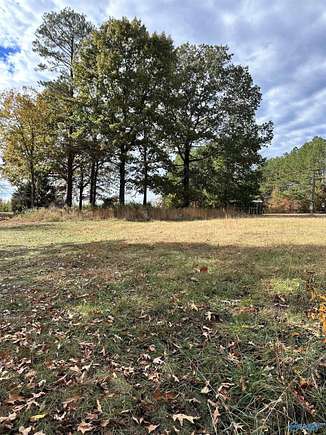 Land for Sale in Rogersville, Alabama