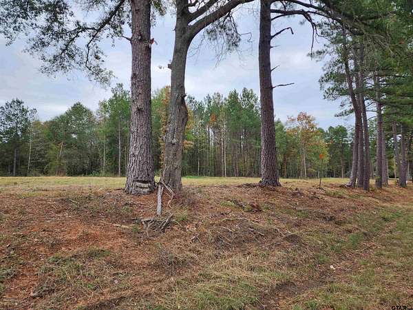 2.86 Acres of Land for Sale in Winona, Texas