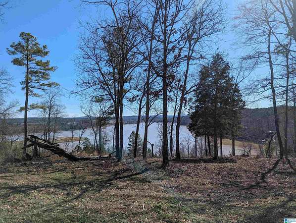 0.33 Acres of Residential Land for Sale in Lincoln, Alabama