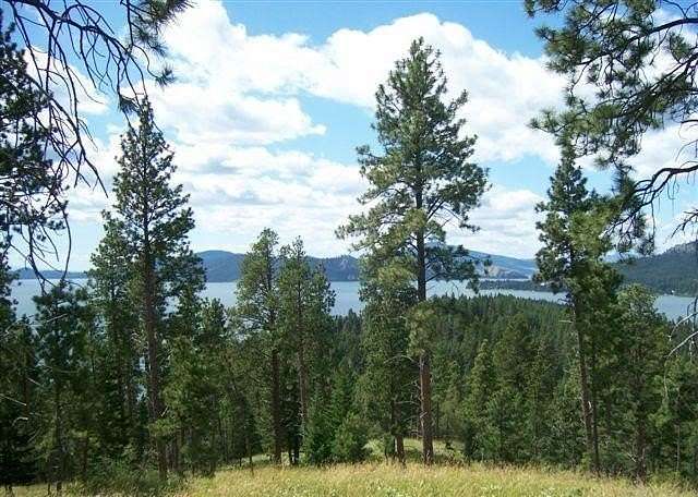 8.012 Acres of Land for Sale in Rollins, Montana