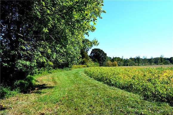 149 Acres of Agricultural Land for Sale in Reidsville, North Carolina