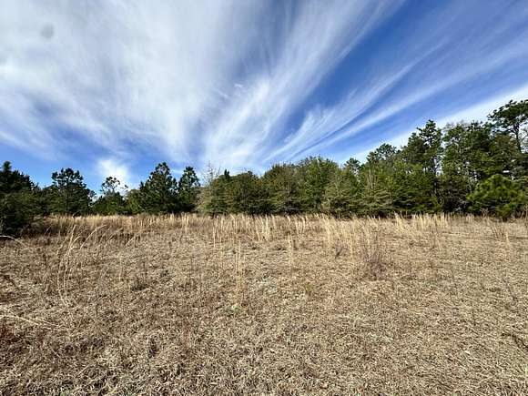 43.7 Acres of Improved Land for Sale in DeFuniak Springs, Florida