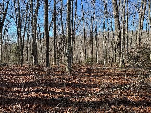 2.9 Acres of Residential Land for Sale in Monterey, Tennessee