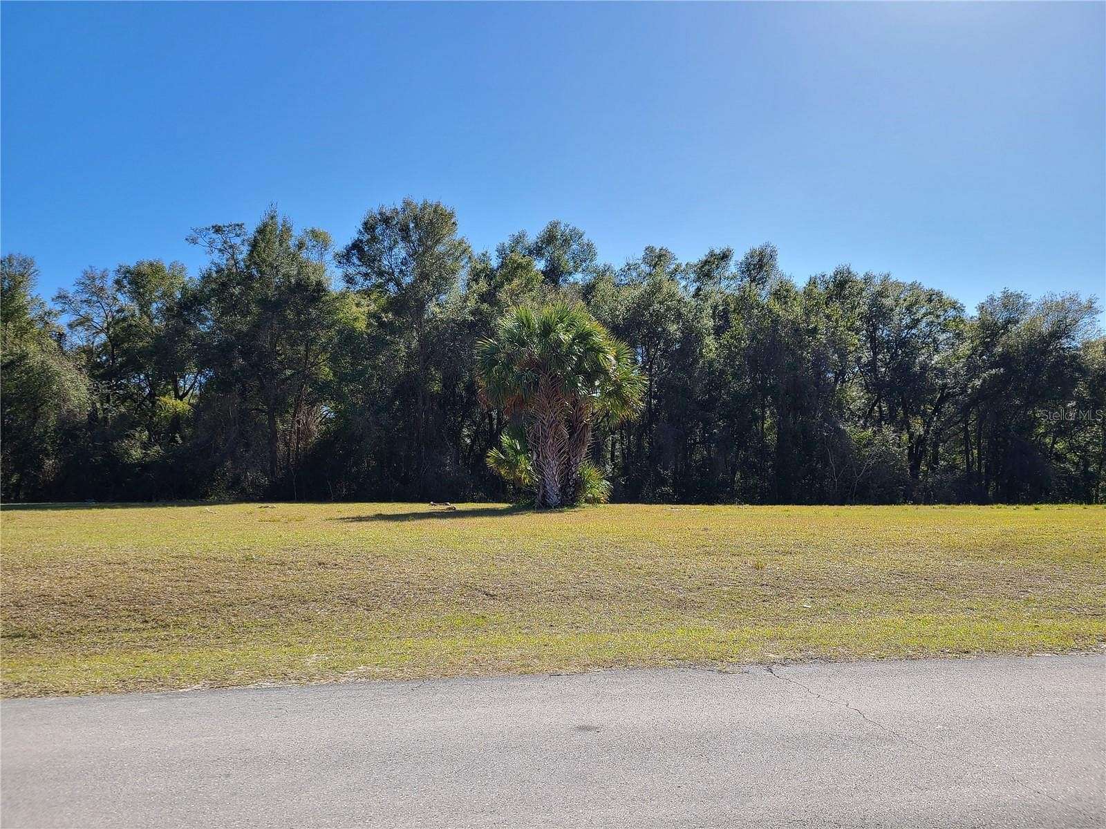 0.76 Acres of Residential Land for Sale in Citra, Florida