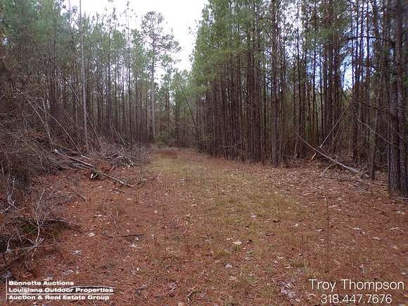80 Acres of Recreational Land for Sale in Olla, Louisiana