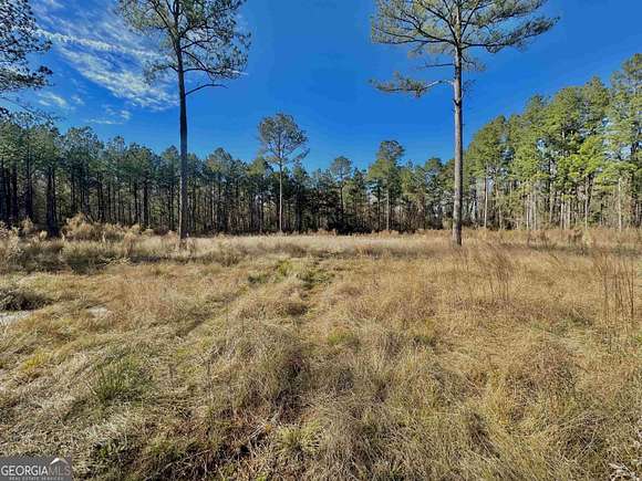 8.7 Acres of Residential Land for Sale in Statesboro, Georgia