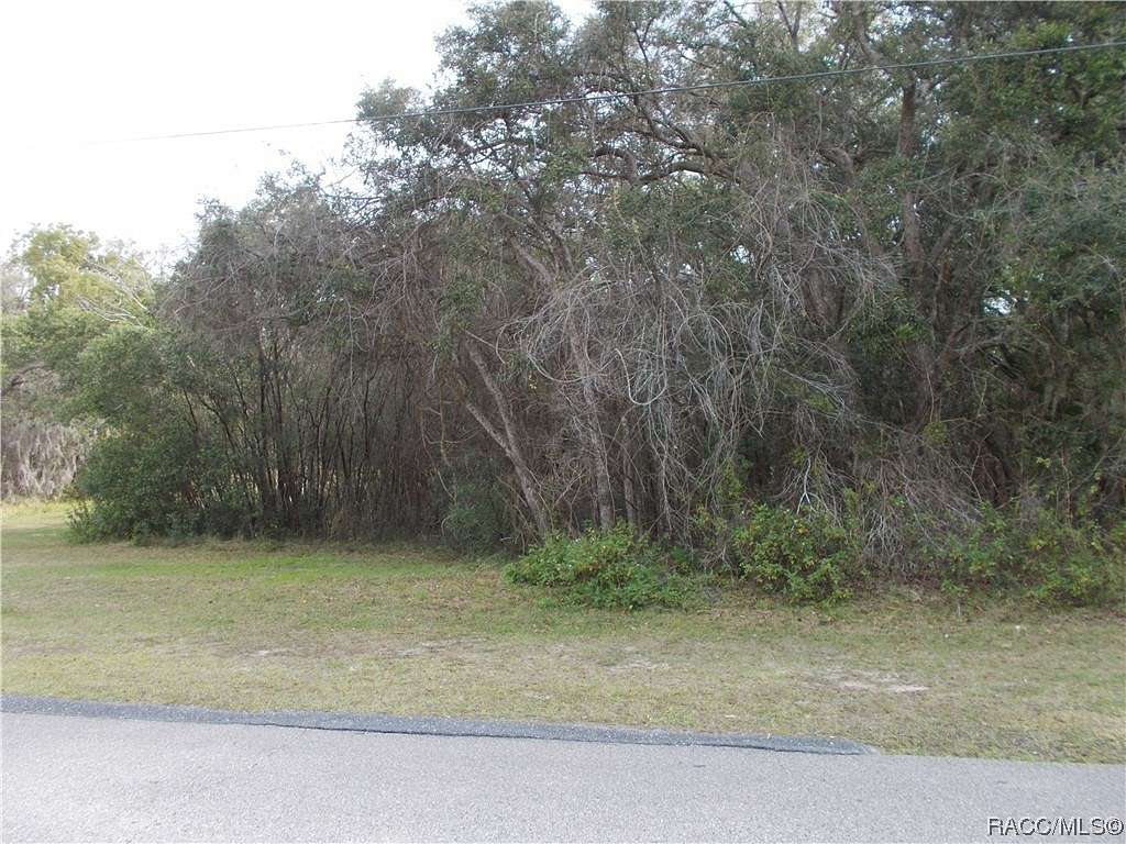 1.01 Acres of Residential Land for Sale in Hernando, Florida