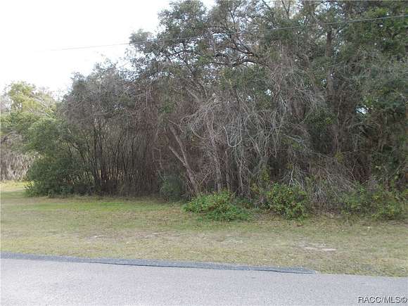 1.01 Acres of Residential Land for Sale in Hernando, Florida