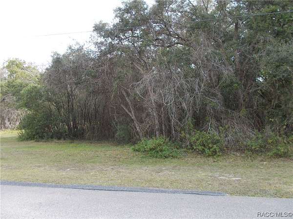 1 Acre of Residential Land for Sale in Hernando, Florida