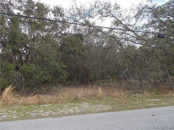 1.03 Acres of Residential Land for Sale in Hernando, Florida