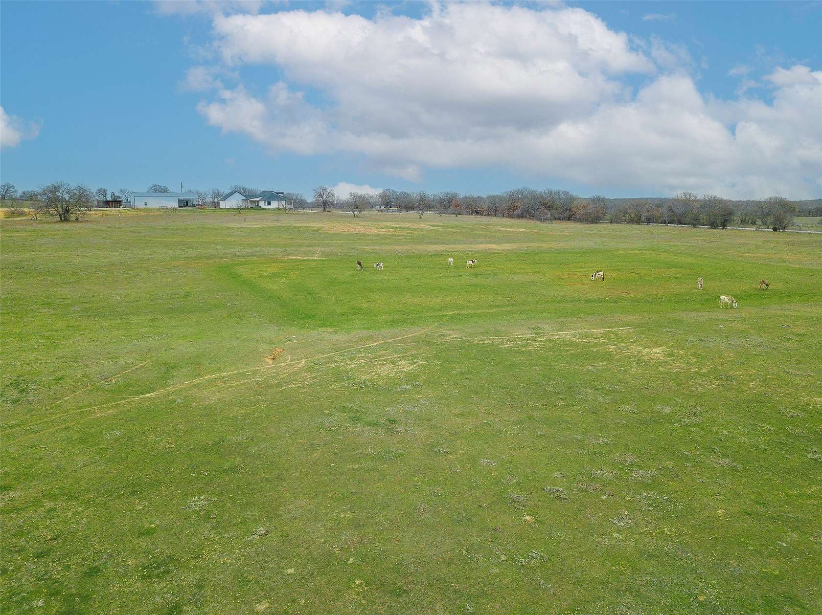 41 Acres of Land for Sale in Chico, Texas