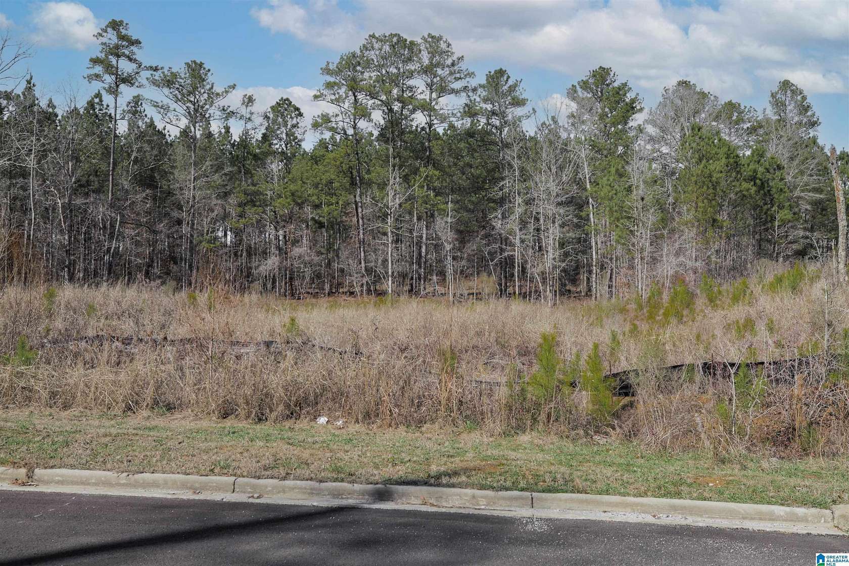 1 Acre of Residential Land for Sale in Chelsea, Alabama