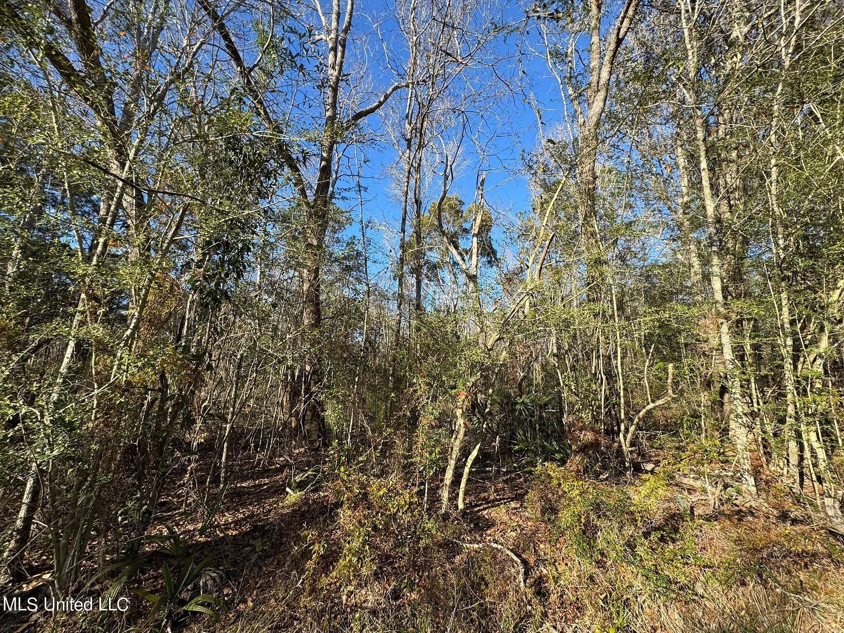 22 Acres of Land for Sale in Moss Point, Mississippi